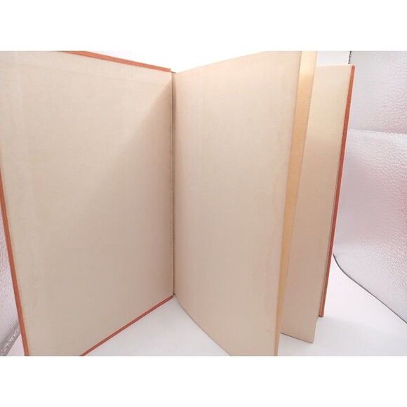 Bucky Follows A Cold Trail (1937) Classic Western By William MacLeod Raine - Picture 2 of 10